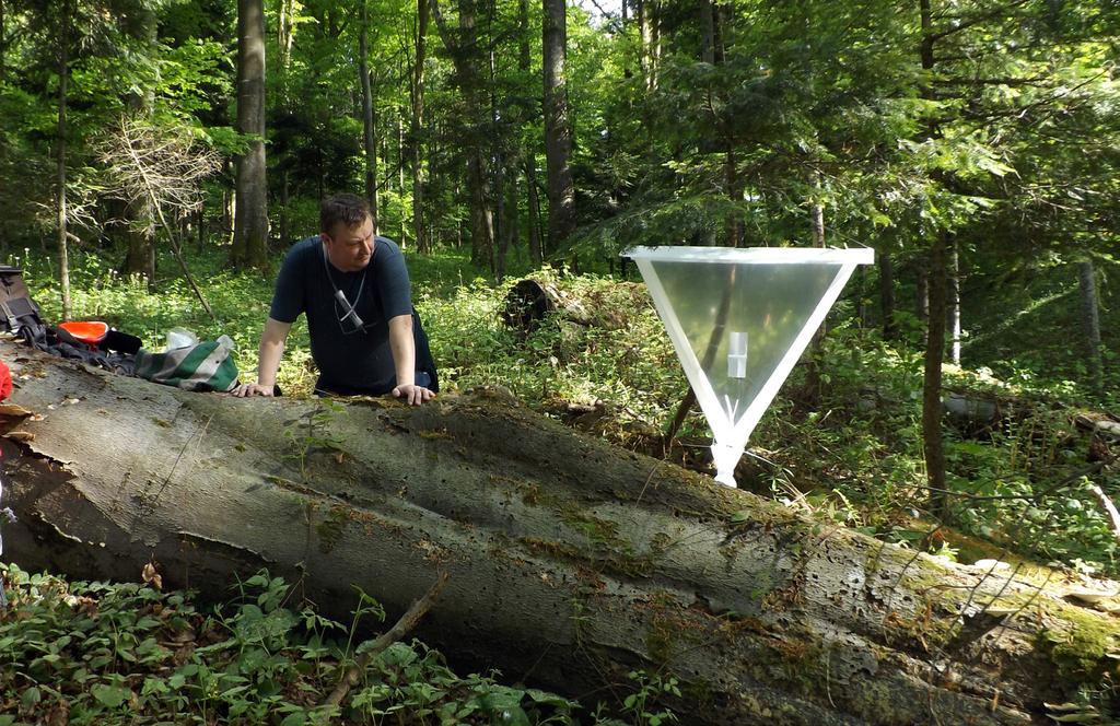 Ryc. 1. Pułapka IBL-2 w leśnictwie Trzcianiec, na stokach Czereśni k. Jureczkowej. Fig. 1. The IBL-2 trap in the Trzcianiec forest range, on the slopes of Czereśnia near Jureczkowa.