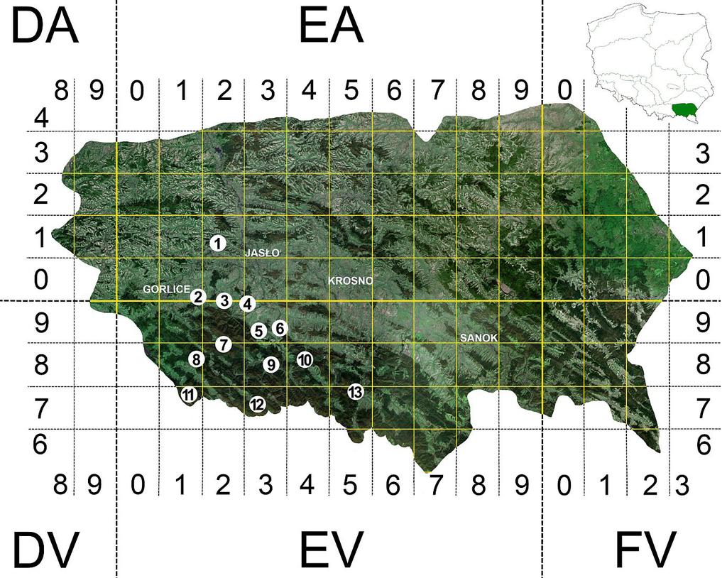 TEREN BADAŃ Obszar badań położony jest w południowo-zachodniej części regionu zoogeograficznego Beskid Wschodni (Burakowski et al.
