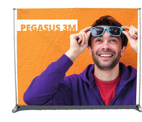 Pegasus Teleskopowy maszt umożliwia