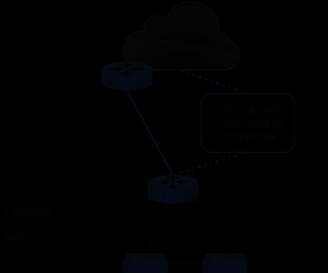 Dodatkowo Wykonawca skonfiguruje dwa interfejsy ethernet na Routrze CE pracujące w konfiguracji Active/Backup.