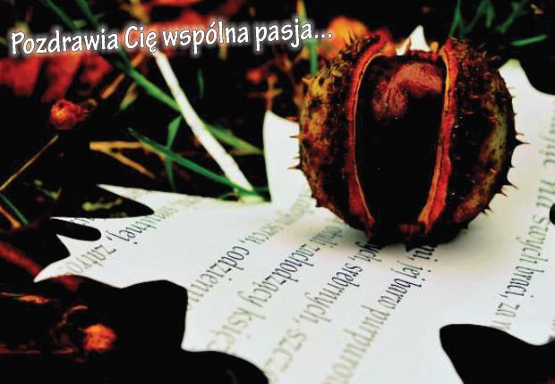 wiadomośd -