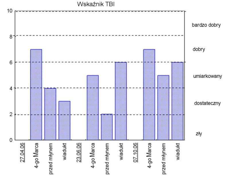 100 Wskaźnik BMWP-PL >100 bardzo dobry 90 80 dobry 70 60 50 umiarkowany 40 30 20 dostatec zny 10 zły 0 27.04.06 przed mł ynem wi adukt 23.06.06 przed mł ynem wi adukt 07.10.06 przed mł ynem wi adukt Rys.