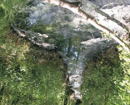 158 Iwona Lipiec Na podstawie badañ sk³adu chemicznego wód autorka potwierdzi³a przytoczone pogl¹dy dotycz¹ce genezy wód, jak równie uzupe³ni³a informacje o strefowoœci hydrogeochemicznej w rejonie