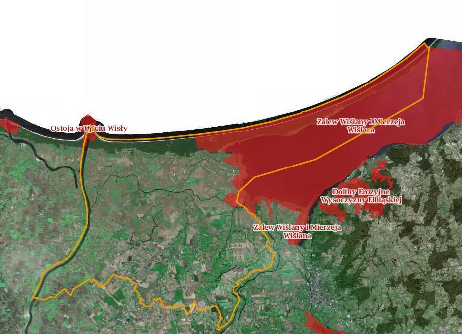 ochrony minoga rzecznego Lampetra fluviatilis i parposza Alosa fallax. Regularnie pojawia się tu również foka szara Halichoerus grypus. Obszar jest też ważną ostoją ptasią IBA E13. Rysunek 14.