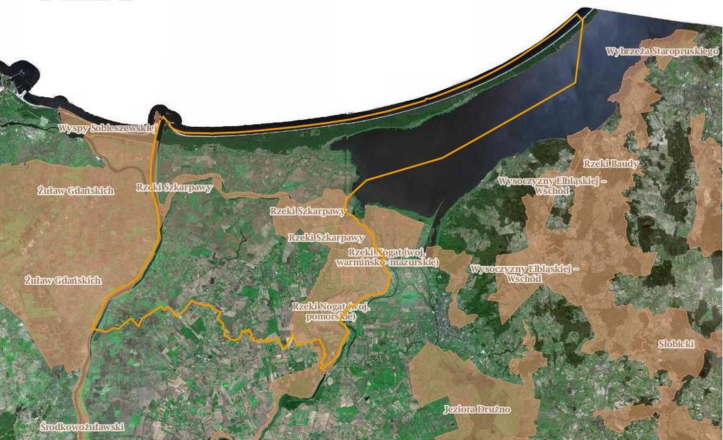 Rysunek 17. Obszary Chronionego Krajobrazu na tle Powiatu Nowodworskiego. Użytki ekologiczne Użytek ekologiczny Krynicki starodrzew 18 Źródło: www.geoserwis.gdos.gov.