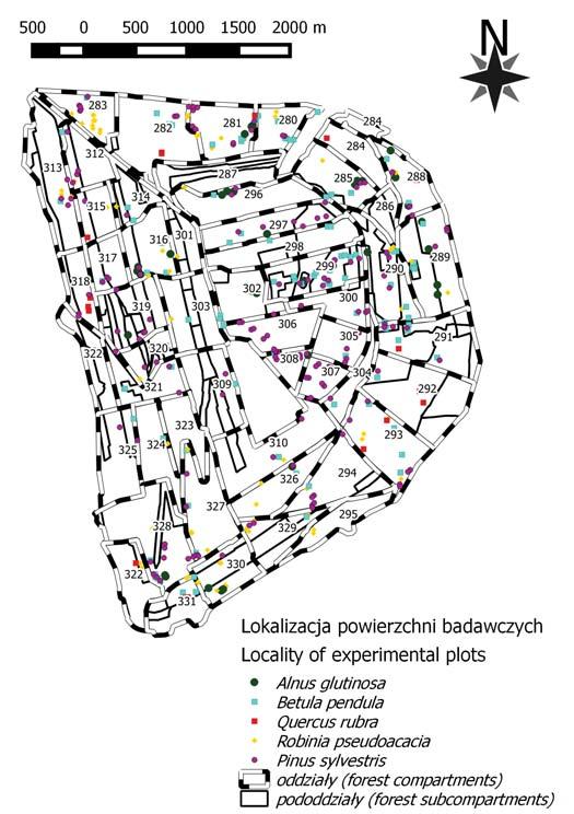 Ryc 1. Lokalizacja powierzchni badawczych na zwałowisku zewnętrznym Kopalni Węgla Brunatnego w Bełchatowie Fig 1.