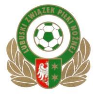 1 SPRAWOZDANIE SĘDZIEGO I liga wojewódzka B1 Junior łodszy Zawody pomiędzy zespołami: Stroje (kolor) gospodarze: zielony PROIEŃ ŻARY - STELET UKP I ZIELONA GÓRA goście: czarne iejsce zawodów:
