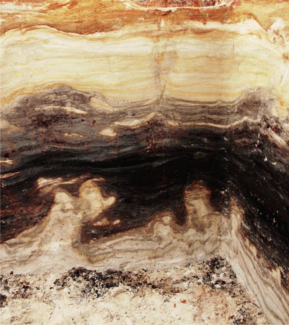 Petera-Zganiacz 2006) The dotted line points the lower boundary surface of the development of structures Fot. 4.