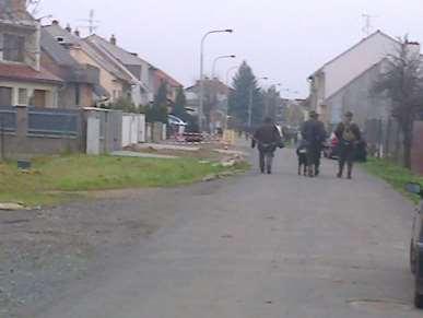 Ocena ryzyka wystąpienia szkód Co ma wpływ na ryzyko wystąpienia szkód wyrządzanych przez zwierzynę łowną?