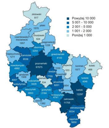 Wprowadzenia [1] Obywatele Ukrainy stanowią rosnącą część społeczności Wielkopolski oraz Metropolii Poznańskiej.