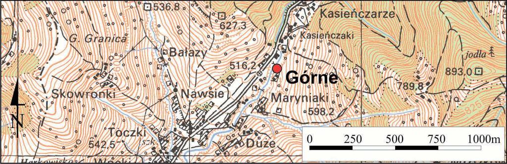 Gmina Piwniczna ŹRÓDŁO GÓRNE ŁOMNICA Pomnik przyrody nieożywionej Wys. 512 m n.p.m. 49 o 27' 02,8'' N 20 o 45' 25,8'' E Szczawa ze źródła Górne jest typu HCO 3-Ca+CO 2 o mineralizacji 3,3 g/dm 3 ; ph 6,2; temperaturze 9,4 o C; CO 2 2,5 g/dm 3.