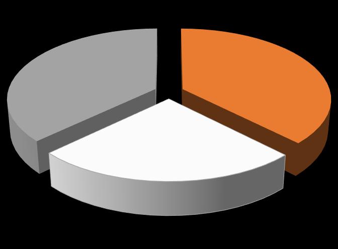 W 2016 roku udział w sprzedaży do trzech największych klientów Grupy (Grupa Volkswagen, Grupa Federal-Mogul, Grupa Nemak) wynosił 44% w porównaniu do 45% w 2015 roku, co oznacza kolejny okres