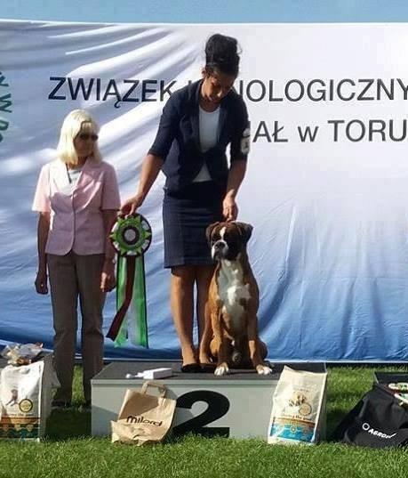 2017 CEBS 12 pkt; Tartu/Estonia (Wystawa Międzynarodowa) 2+5+1 pkt; Tartu/Estonia 5.11.