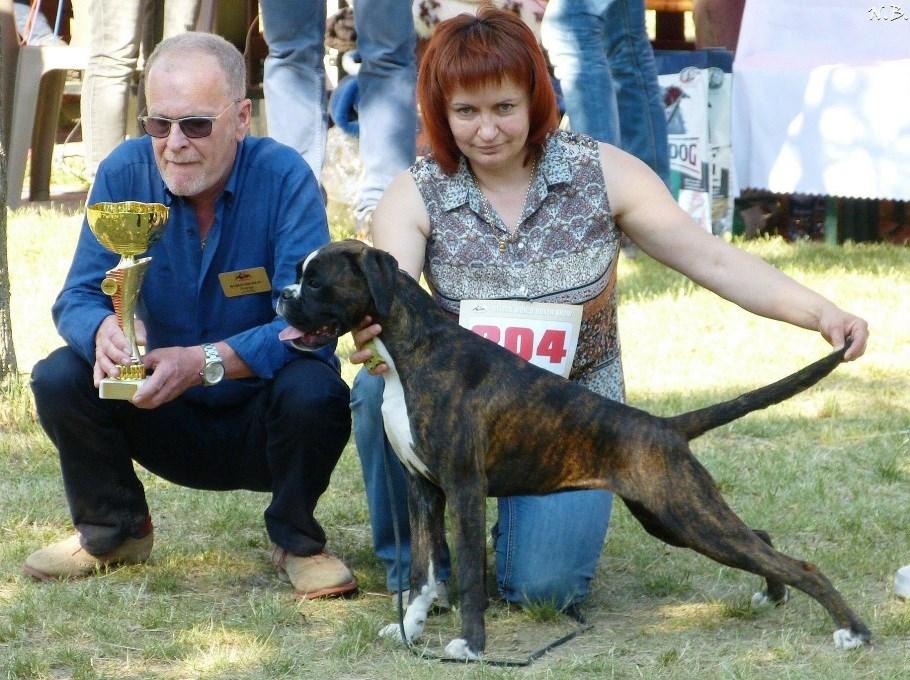 11.2017 (Wystawa Międzynarodowa) 3 pkt; 18 miejsce ex aequo - suma punktów 10 COCAINA von