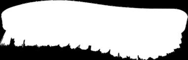zielono-niebieska, 245 x 73 mm