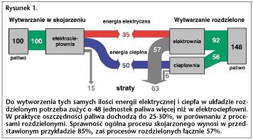 w jednym procesie technologicznym odbywającym się w tym samym zakładzie wytwórczym) zamieniana na dwa produkty: energię elektryczną i ciepło.