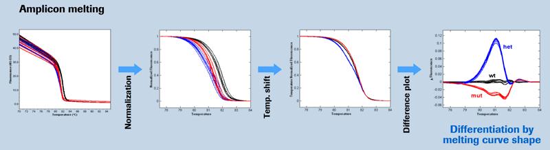 Testy przesiewowe SSCP Single Strand Conformation Polymorphism HD HeteroDuplex