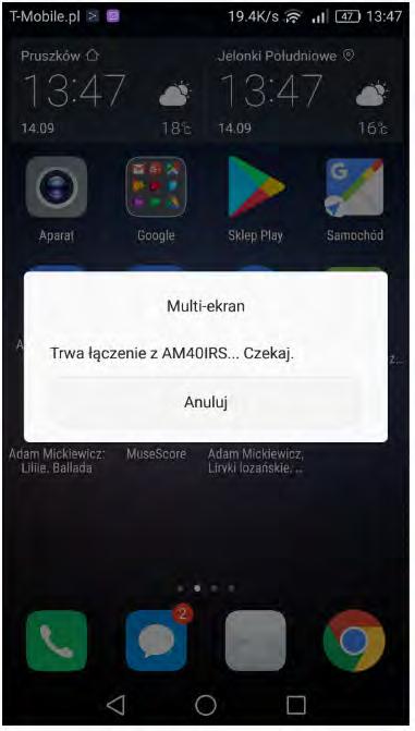 Screen Share widok urządzenia