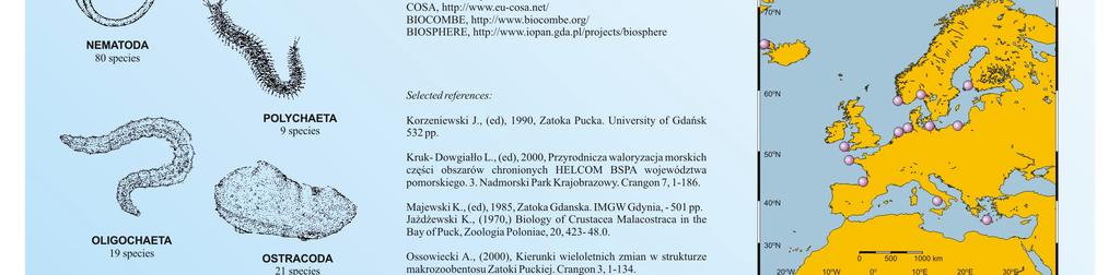 pocztówki.