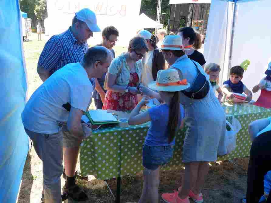 ekologiczną, popracować przy kole garncarskim, ujeździć