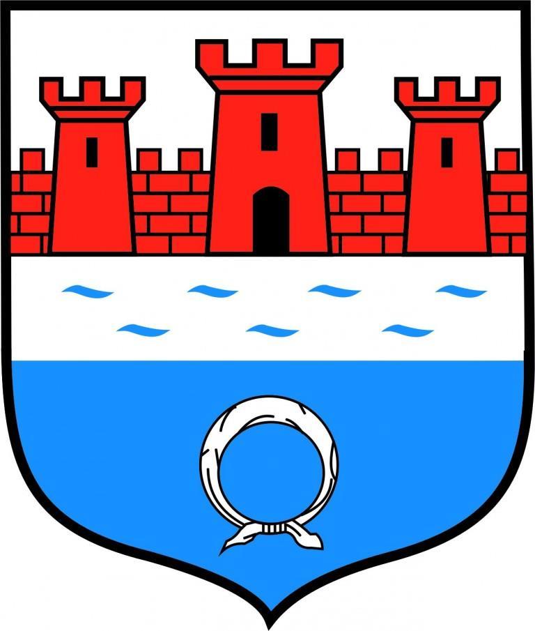 SYSTEM WDRAŻANIA STRATEGII ROZWOJU