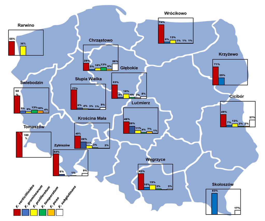 Badania składu gatunkowego grzybów z rodzaju Fusarium zasiedlających ziarniaki z prób gromadzonych wykazały zróżnicowanie pomiędzy lokalizacjam. Dominującym gatunkiem w większości lokalizacji jest F.