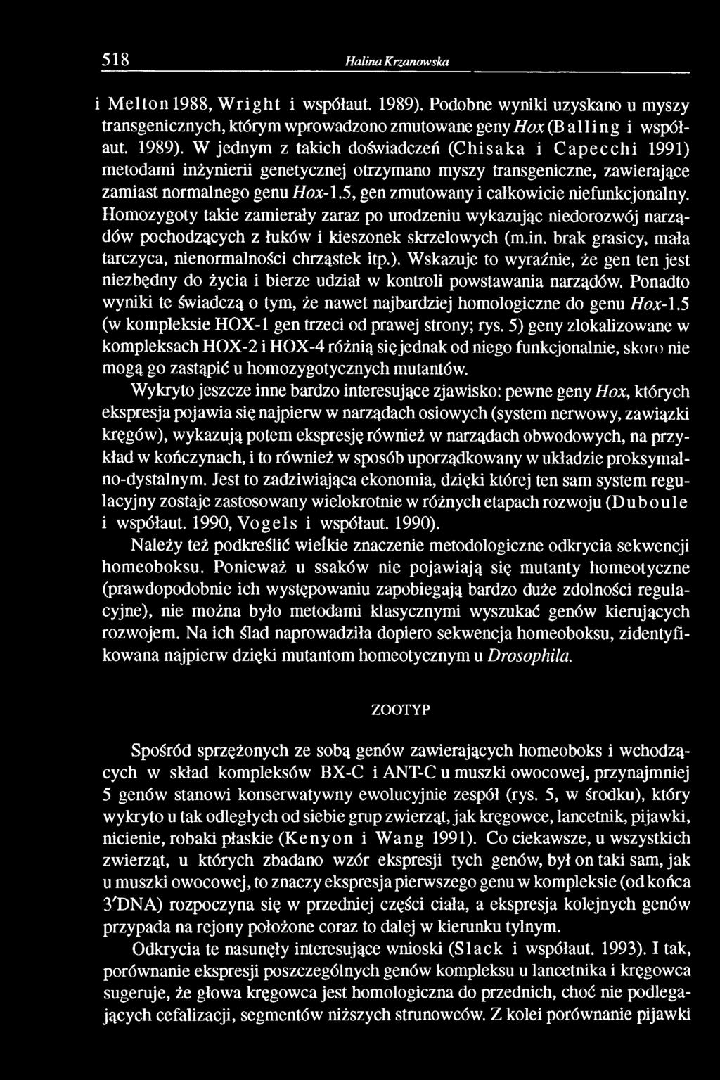 W jednym z takich doświadczeń (Chisaka i C apecchi 1991) metodami inżynierii genetycznej otrzymano myszy transgeniczne, zawierające zamiast normalnego genu Hox-1.