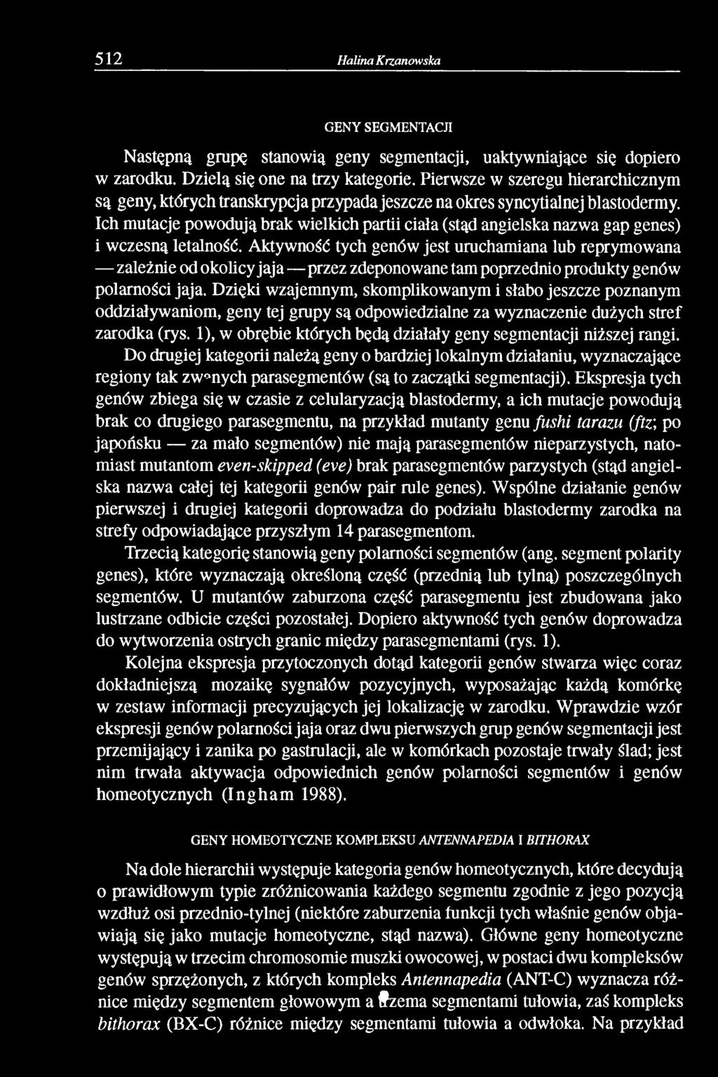 Ich mutacje powodują brak wielkich partii ciała (stąd angielska nazwa gap genes) i wczesną letalność.