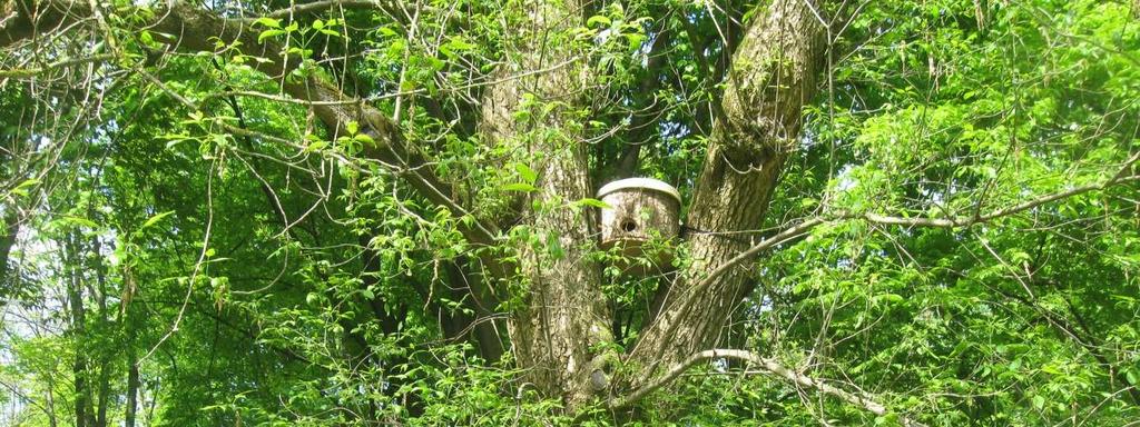 4. Drabinka drewniana (dekoracyjna) przebiegająca po zewnętrznej ścianie pomiędzy wejściami. 5. Domek w środku ze ścianą wykonaną ze sklejki, dzielącą schronienie w środku na dwie połowy. 6.