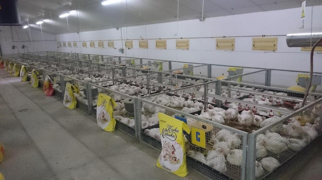 Broiler Budynek kurnika został wyremontowany w 2013 roku.