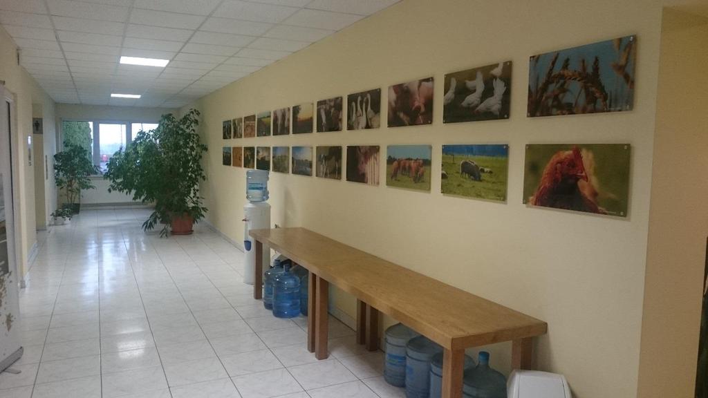 Dodatkowo w budynku ulokowane jest również małe pomieszczenie kuchenne z możliwością przygotowania