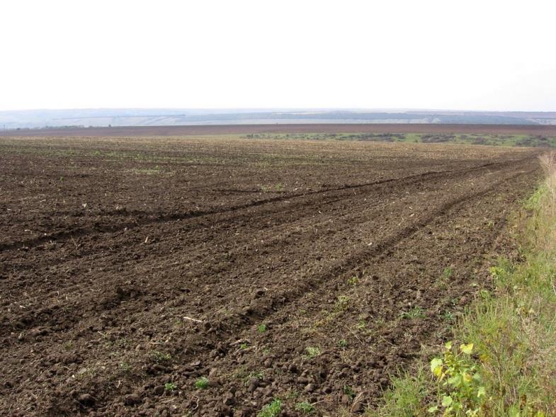 POJĘCIE ŻYZNOŚCI GLEBY O żyzności gleby decydują: skład granulometryczny, skład mineralogiczny, skład masy glebowej (relacje między fazami),