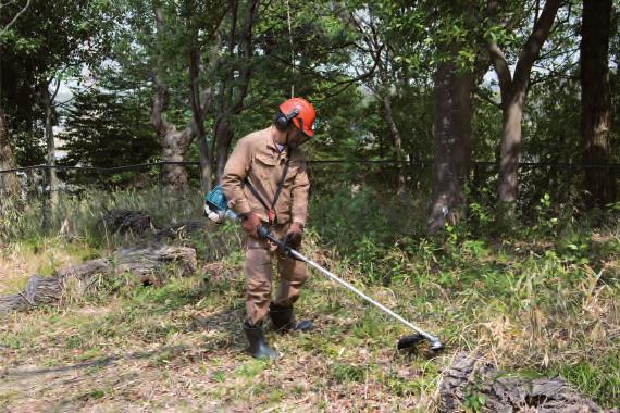 IDEALNA DO SADÓW, PARKÓW I OGRODÓW EM2653LH KOSA SPALINOWA EM2653LH n Cichy i mocny silnik o pojemności 25,4 cm³ z bardzo niską emisją spalin n Niewielka waga, która zapewnia łatwość użytkowania n
