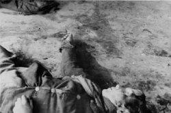 Opis fotografii ofiar napadu we wsi Netreba, 3 X 1943 r.