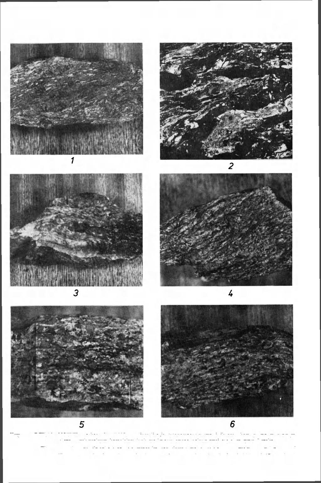 GEOLOGIA SUDETICA VOL.