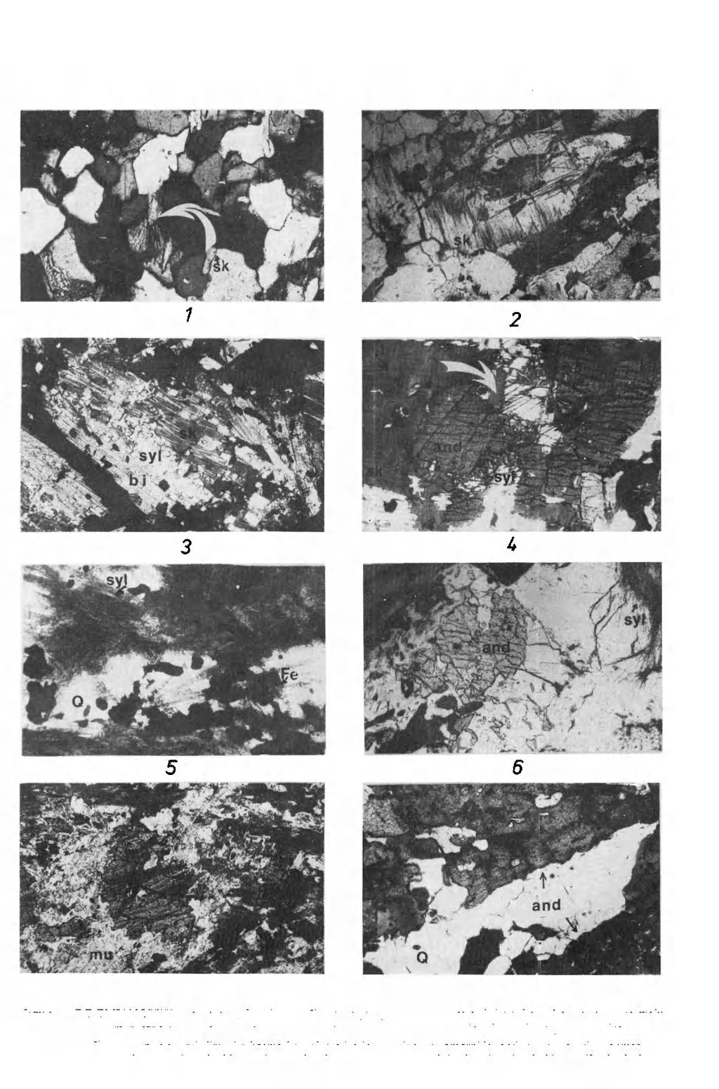 GEOLOGIA SUDETICA VOL.