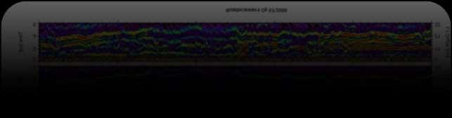 POMIARY GPR W CELU IDENTYFIKACJI MIEJSC ZAWODNIONYCH