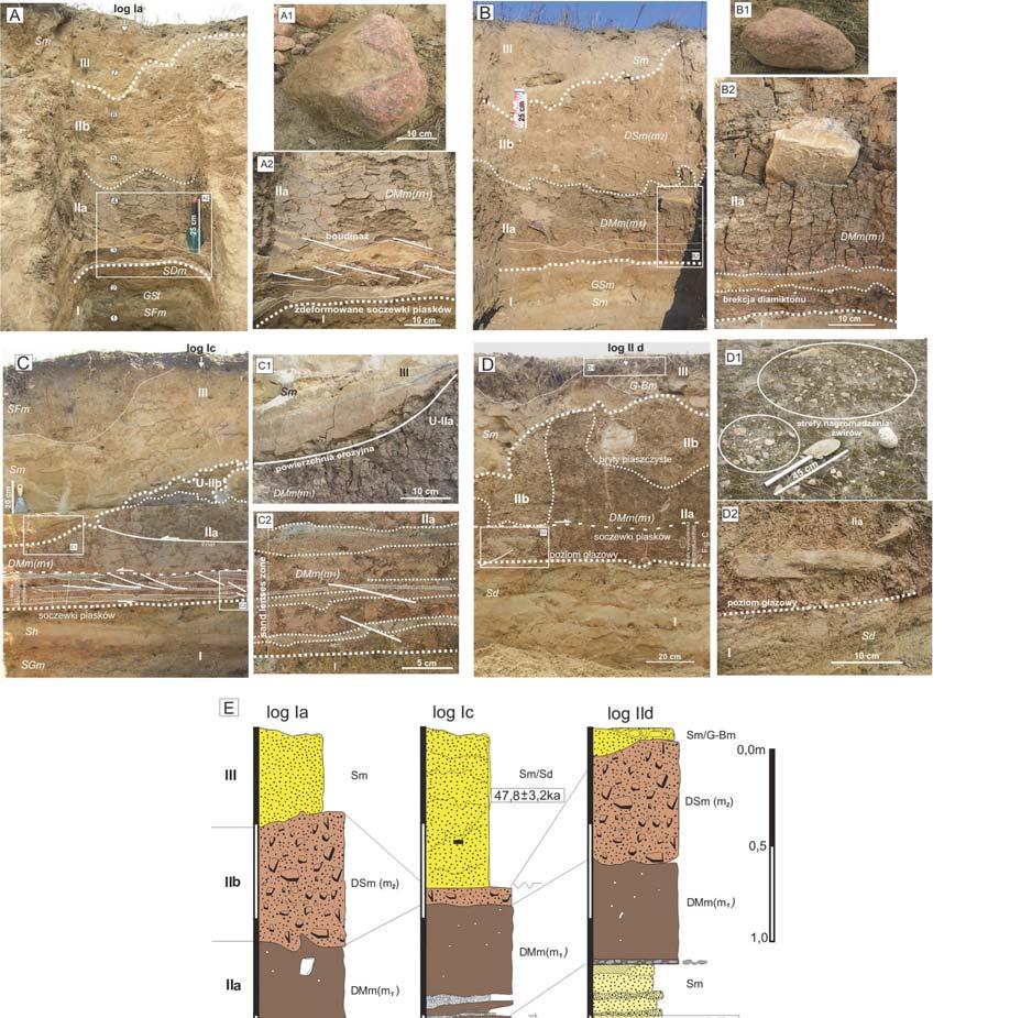 Sesja terenowa 211 Fig. 2. Osady glacjalne w stanowisku w Nap kowie (na podstawie Ludwikowska-K dzia i in.