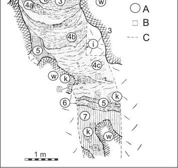 Natomiast piaski najwy szej warstwy wype nienia (ogniwa 1) reprezentuj osady fluwioglacjalne (G azek i in., 1976, 1977a, b). Fig. 2. Przekrój osadów stanowiska w Kozim Grzbiecie. Kopia z publikacji J.