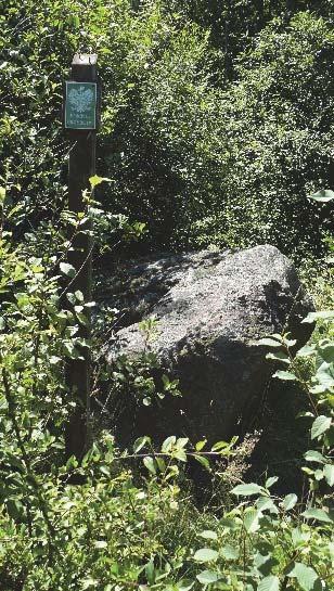 84 Streszczenia referatów G AZY NARZUTOWE KIELECCZYZNY I ICH POTENCJA GEOTURYSTYCZNY GLACIAL BOULDERS IN KIELECKIE AREA AND THEIR GEOTOURISTIC POTENTIAL Maria GÓRSKA-ZABIELSKA 1 1 Instytut Geografii,