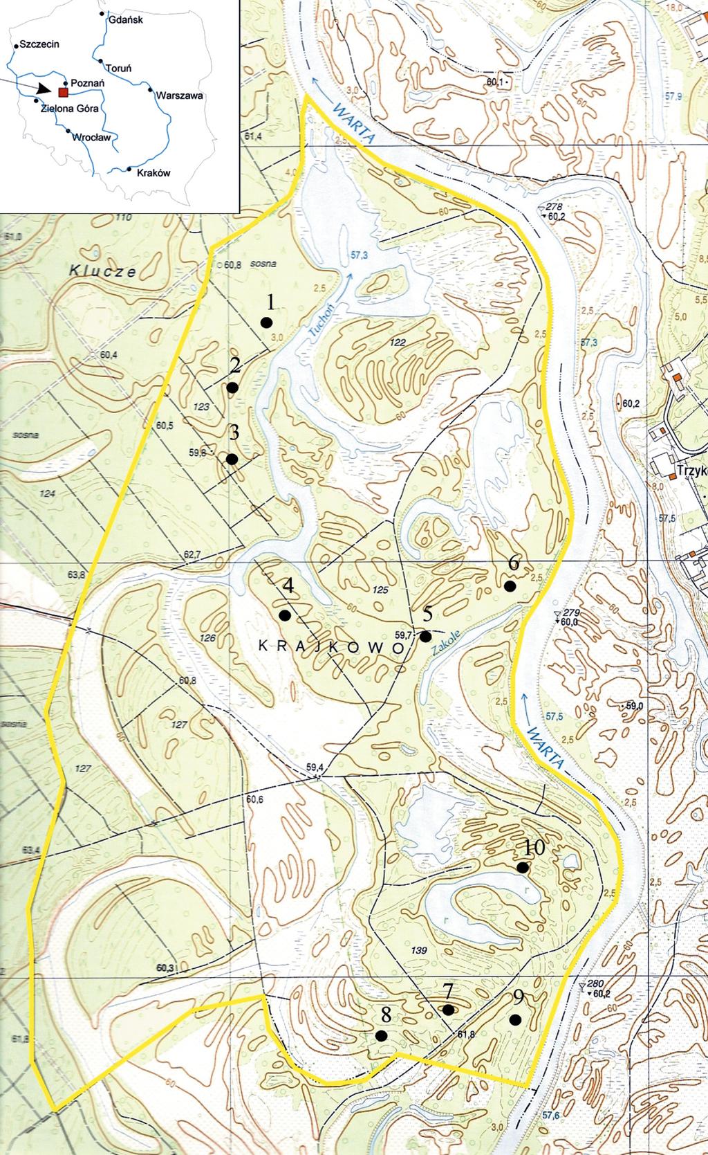 spring. In the unflooded part of reserve the groundwater level ran from 81 to 330 cm in 2006 and from 60 to 360 cm in 2007.