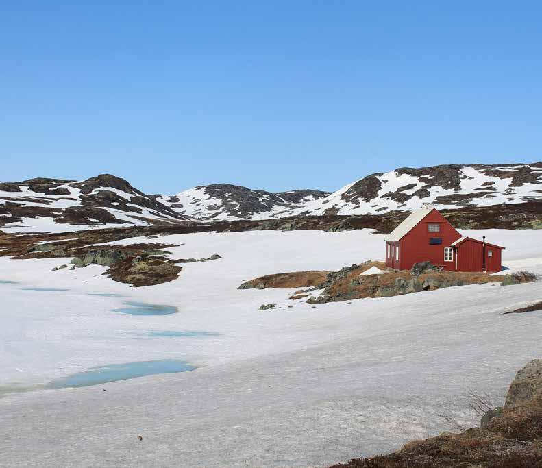 NORWESKA WIOSNA STRONA 1