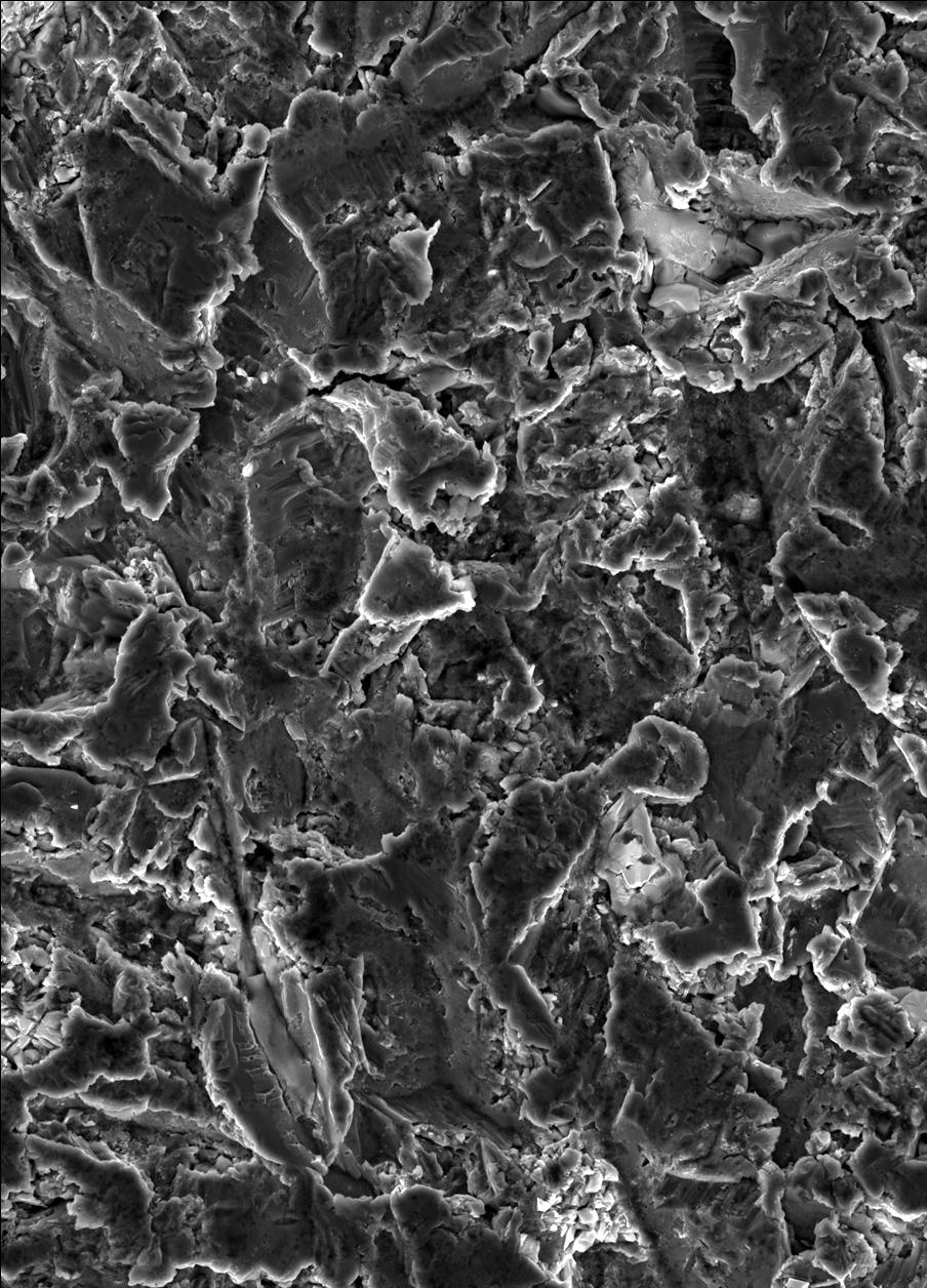 I N Ż Y N I E R I A B I O M A T E R I A Ł Ó W Journal of Polish Society for Biomaterials and Faculty of Materials Science and Ceramics AGH-UST Czasopismo Polskiego Stowarzyszenia Biomateriałów i