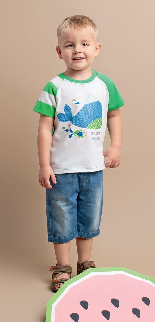 FB-441 RB-71 SHR-379