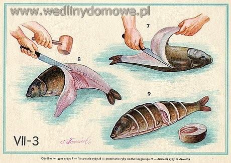 Zadanie 29. Który element podziału ryby przedstawiono na rysunku? A. Dzwonko. B. Półdzwonko. C. Filet bez ości. D. Filet z ościami.