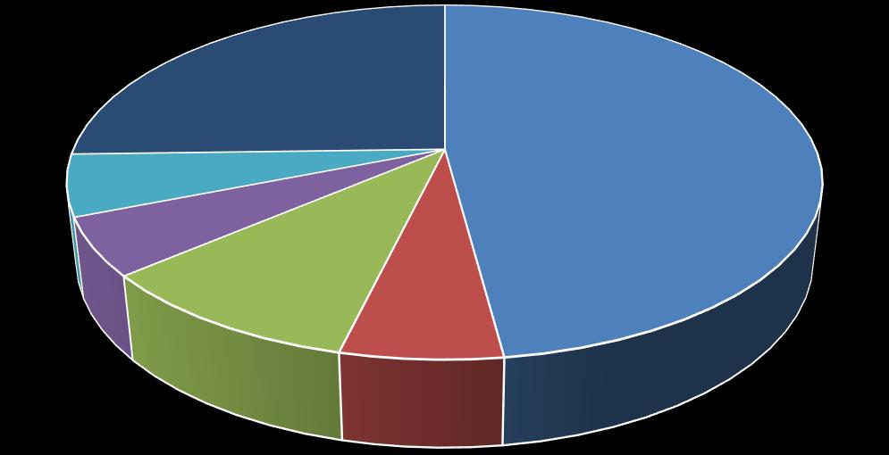Akcjonariusze posiadający poniżej 5% udziału w ogólnej liczbie głosów 25,44% DSA FG SA 47,92% Copernicus Capital TFI S.A. 5,60% Altus TFI S.A. 5,25% Quercus TFI S.
