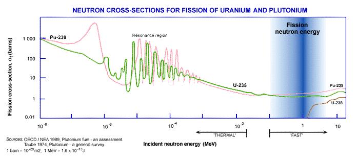 Przekroje czynne Dla 235 U maleje z energią neutronu Obszar