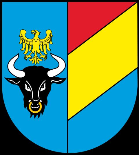 RAPORT Z WYKONANIA PROGRAMU OCHRONY ŚRODOWISKA DLA