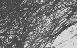 º½º ËÆÌ Á ÇËÆÁ ½¼ ÊÝ º º µ ÇÖÞ ËÅ ØÖÙØÙÖÝ ÓÐÙÑÒ Þ ÙÖÓÛÓ ÖÞÒ ÓÙ ØÓÝ µ ÓÖÞ ËÅ µ ÌÅ ÔÓ ÔÖÓ ÛÝÔÐÒ ÙÓÞÒÝ ÔÖÓÙØÛ ÝÒØÞÝº