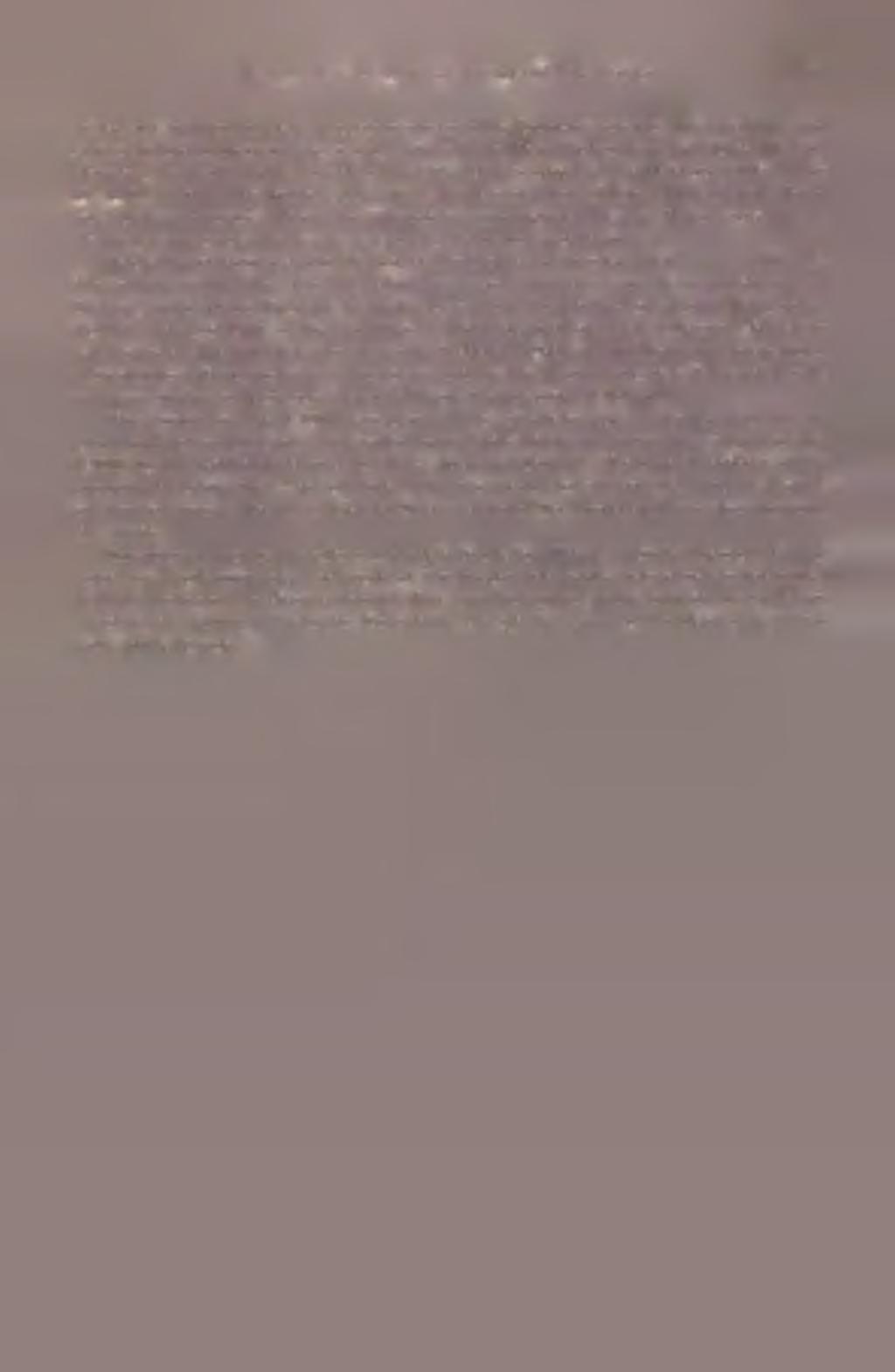 H ow ever, the p ro p a g a n d a chan g ed its tu n e after H itle r s speech in th e R e ic h stag o f F e b ru a ry 19, 1940, in w hich th e F ü h re r sp o k e o f the hopless s itu a tio n o f G